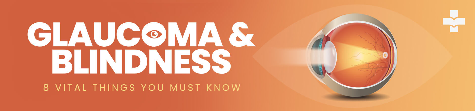 Explore the potential link between glaucoma and blindness. Uncover 8 essential facts that provide insights into the connection and implications of glaucoma on vision loss.