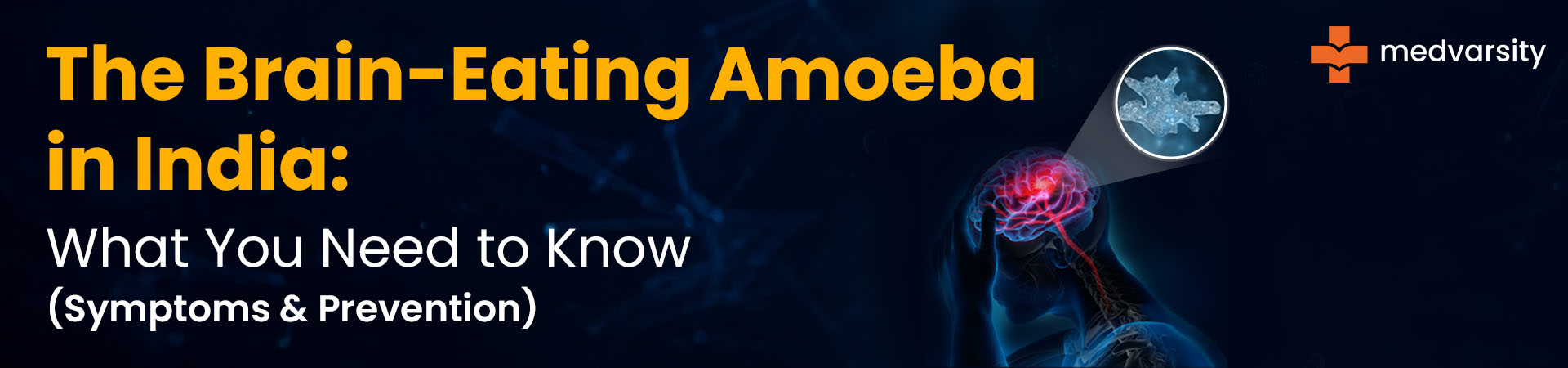 The Brain-Eating Amoeba In India: What You Need To Know (Symptoms & Prevention)